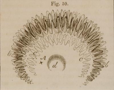 C.G.T. Ruete, scintillating scotoma, 1845 — first medical illustration